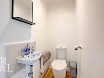 Picture 16